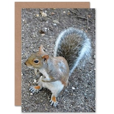 Cute Squirrel Animal Photograph Birthday Card