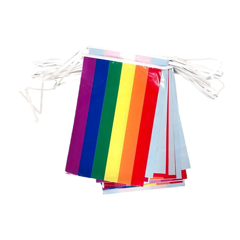 image 1 of Rainbow Pride Party Bunting Rectangle 10m with 20 Pennants