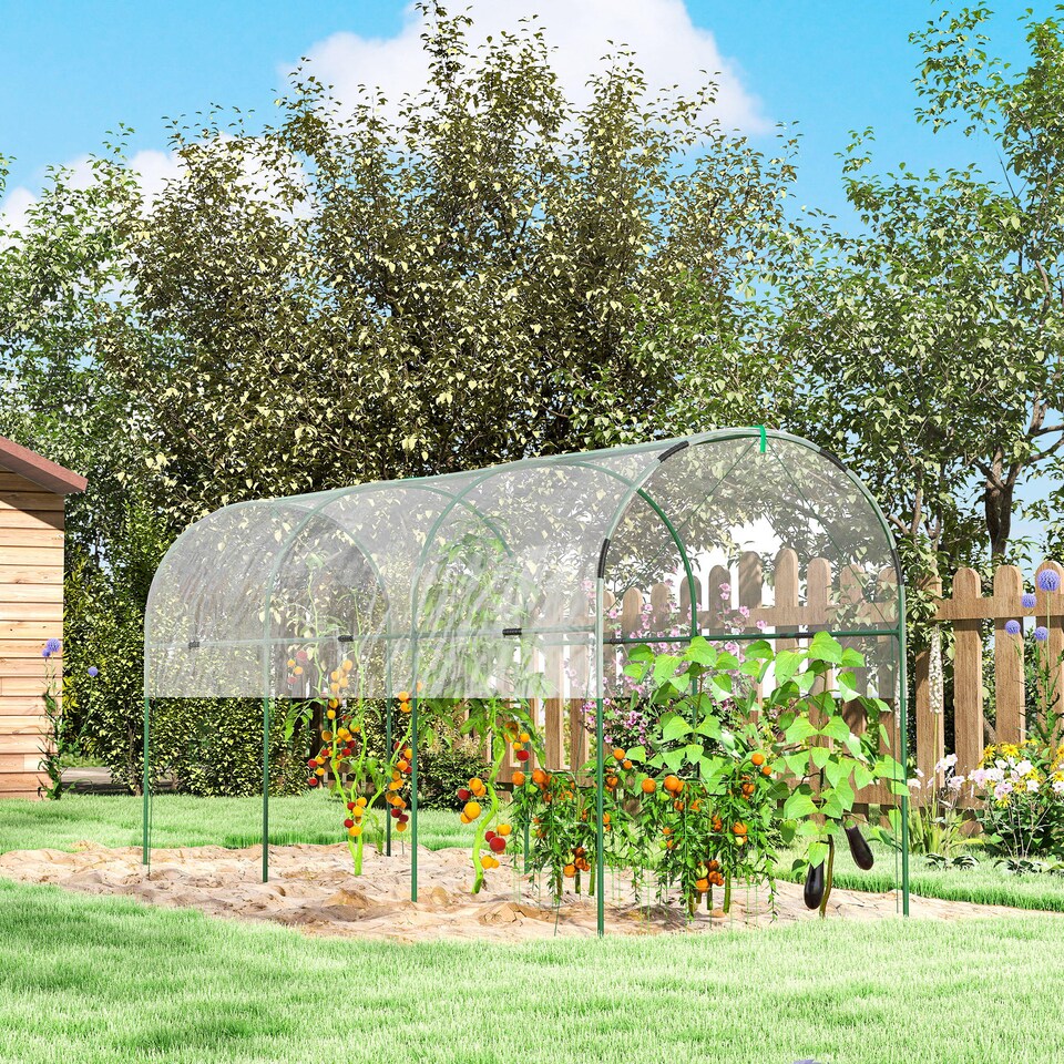 image 1 of Outsunny Tomato Greenhouse with Top Tap, Pointed Bottom and Guy Ropes, Clear