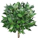 image 2 of Pair of 90cm (3ft) Twisted Stem Artificial Topiary Bay Laurel Ball Trees | Green | 3ft