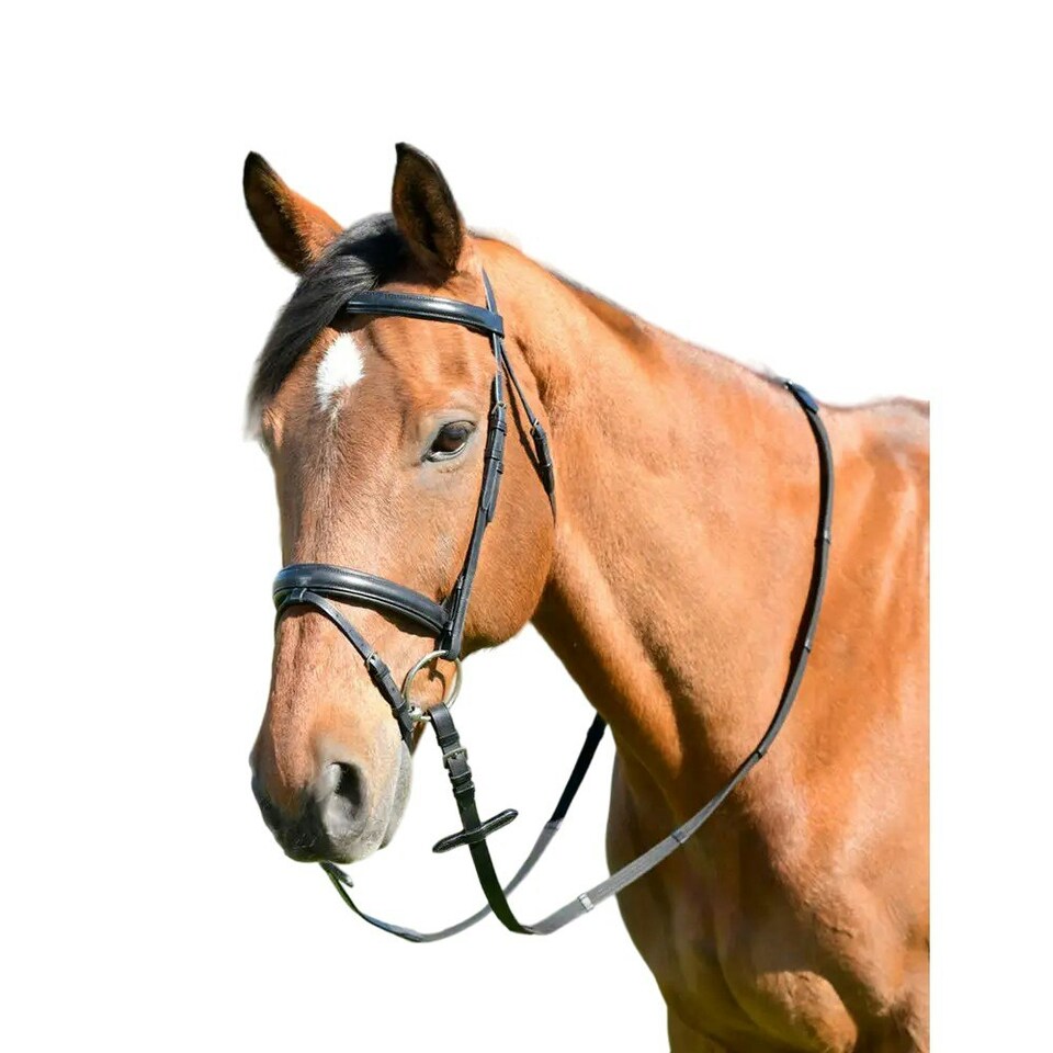 Kincade Classic Raised Flash Leather Plain Horse Bridle With Reins - Black - Pony