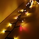 image 8 of 1000 LED 25m Premier TreeBrights Indoor Outdoor Christmas Multi Function Mains Operated String Lights with Timer in Red & Vintage Gold