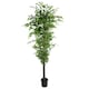 image 1 of Artificial Ficus Tree Realistic - HUGE 180cm 6FT | Green | 6ft