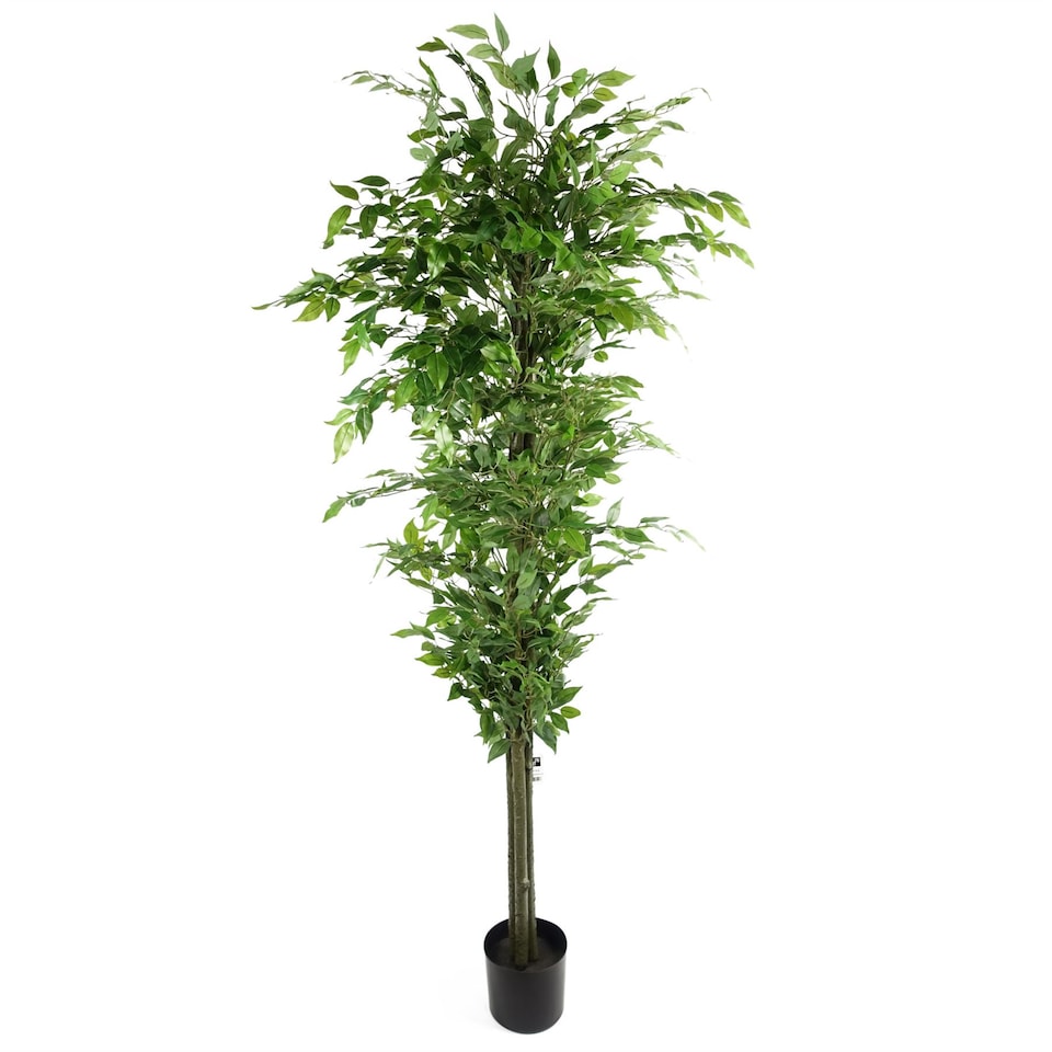 image 1 of Artificial Ficus Tree Realistic - HUGE 180cm 6FT | Green | 6ft