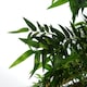 image 3 of Artificial Oriental Bamboo Plant 120cm  - Realistic plant by Botanik | Green | 4ft