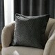 image 1 of Paoletti Neptune Velvet Cushion | Grey | Charcoal | 50 x 50cm | 1