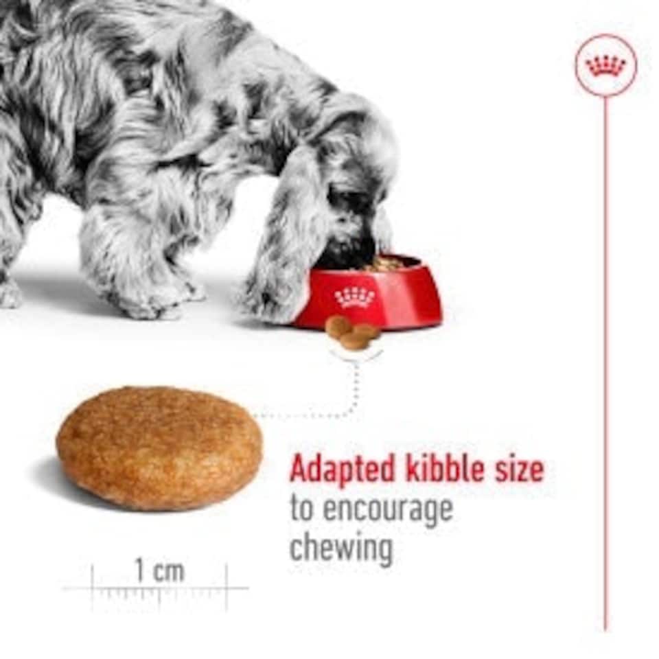 image 1 of Royal Canin Medium Dry Adult Dog Food 3kg