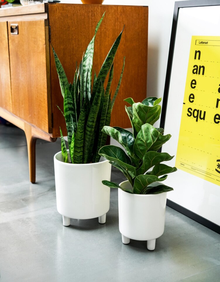 image 1 of Pisa Planter - Ceramic - L20 x W20 x H24 cm - White | White