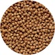 image 4 of Hikari 3.5-Ounce Sinking Cichlid Gold Pellets for Pets, Mini