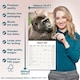 image 6 of Apes 2026 Calendar | Square Wall Calendar | Animal Gift | Plastic Free Packaging | by Avonside Publishing