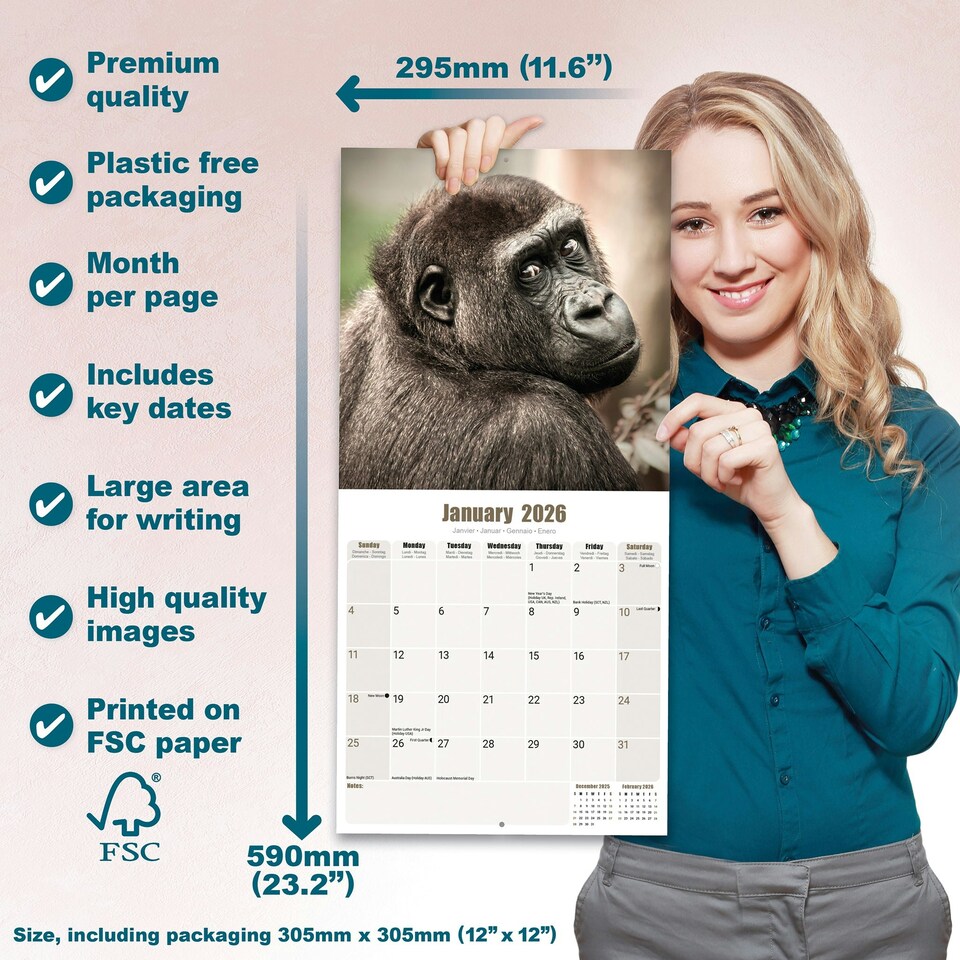 image 1 of Apes 2026 Calendar | Square Wall Calendar | Animal Gift | Plastic Free Packaging | by Avonside Publishing