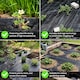 image 6 of Heavy Duty Weed Control Fabric - Landscape Membrane for Garden, Patios & Flower Beds | Black | 1m x 25m