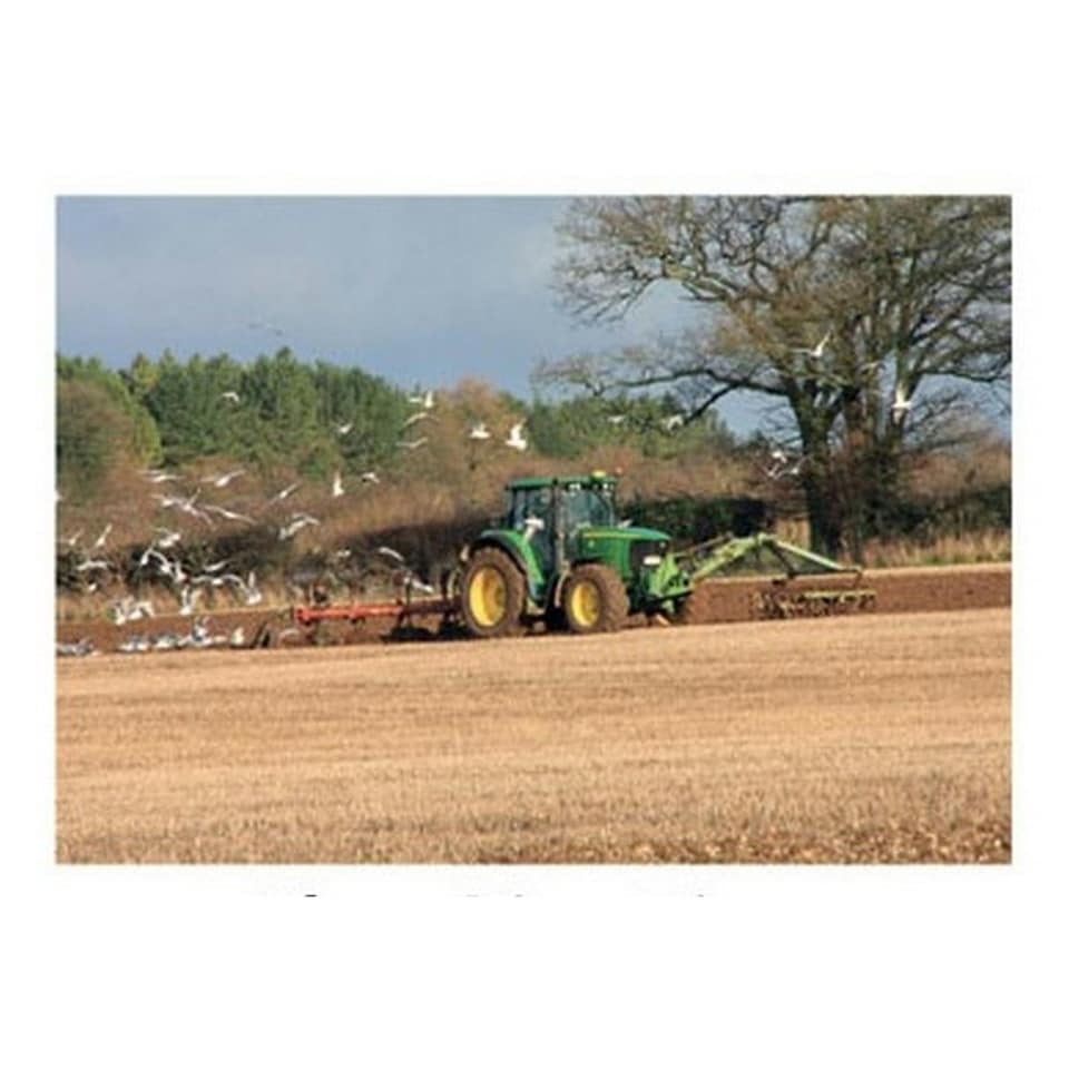Kevin Milner Ploughing Time Countryside Greetings Card - Multicoloured - One Size