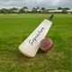 image 4 of CRICKET-GIFTS - Mini Blank Cricket Bat
