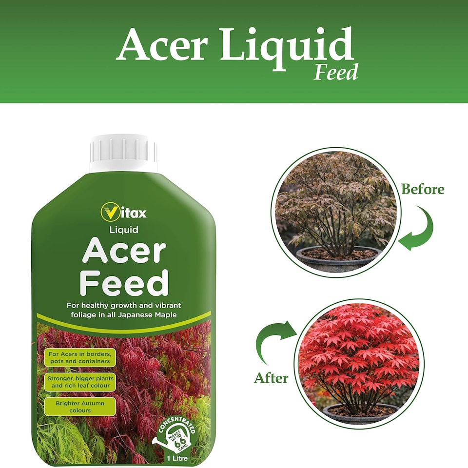image 1 of Vitax Liquid Acer Feed 1L Concentrated Fertiliser for Japanese Maple Trees Acer Plants Vibrant Foliage and Root Growth