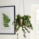 image 3 of Kew Hanging Large Planter with Hook - Metal - L17 x W17 x H15.5 cm - Matt Brass Copper