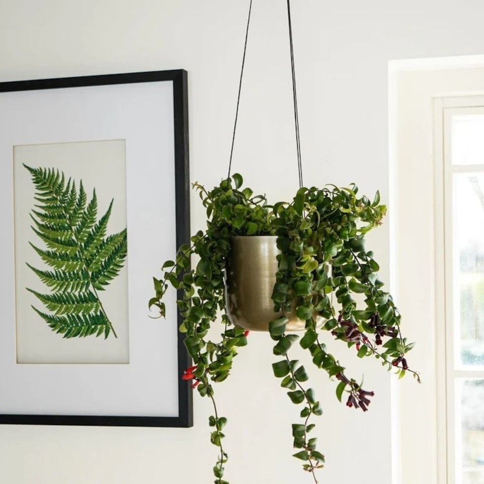 image 1 of Kew Hanging Large Planter with Hook - Metal - L17 x W17 x H15.5 cm - Matt Brass Copper