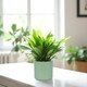image 2 of Matte Sage Green Ceramic Indoor Plant Pot - H15 x W15.5cm Green