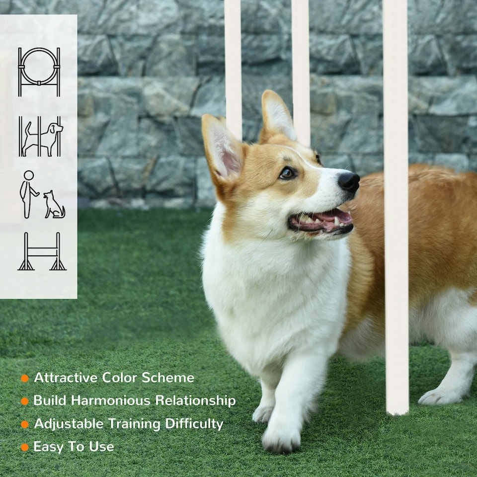image 1 of Dog Agility Equipment Obedience Training Set for Dogs - Multicoloured