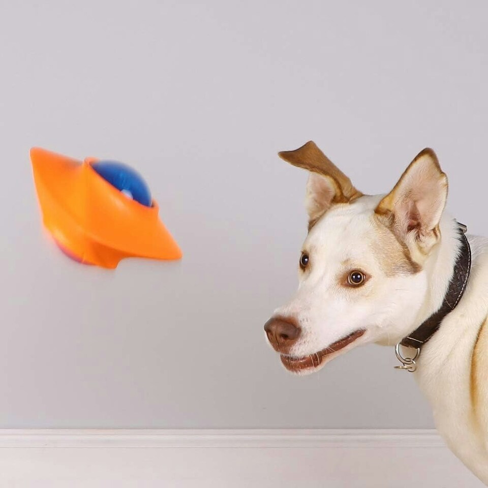 image 1 of Pet Brands Astro Dog Ufo Eva Tpr Led Spaceship Toy