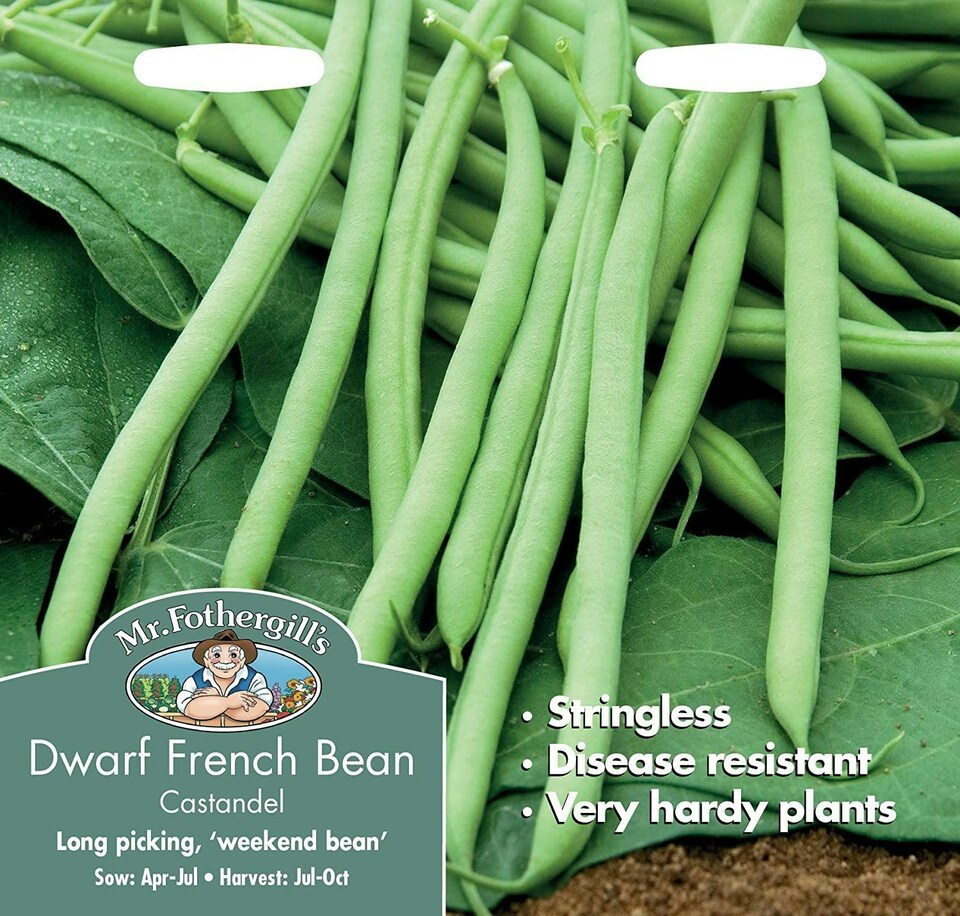 Mr. Fothergills Dwarf French Bean Castandel Seeds