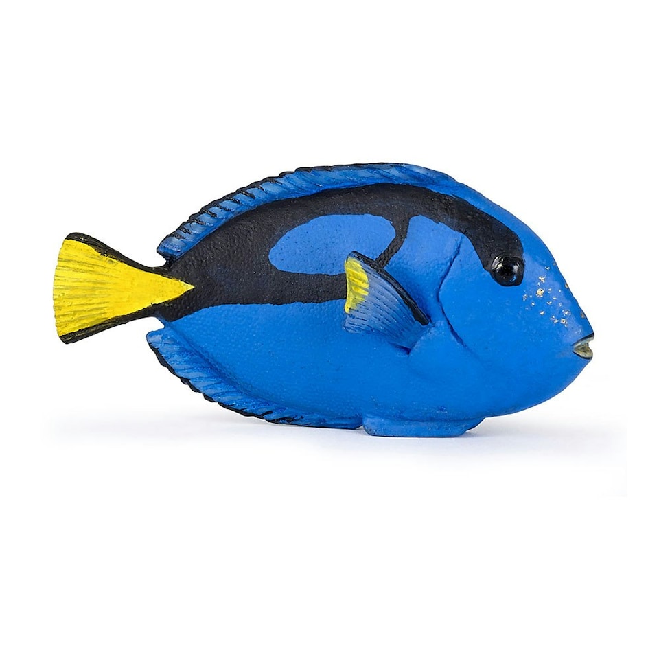 image 1 of PAPO Marine Life Surgeonfish Toy Figure