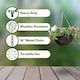image 3 of Marco Paul Dark Brown Rattan Hanging Basket 12" Brown