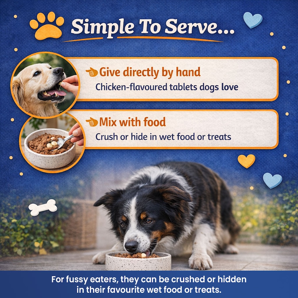 image 1 of Dog Hip &  Joint Care Support Supplement - With Green Lipped Mussel - 60 Chicken Tablets - For Adult & Senior Dogs - Mobility Support