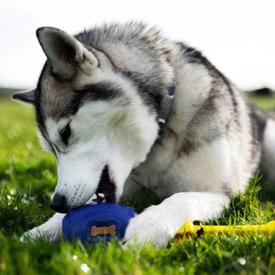 image 1 of K9Connectables Dog Toys - Tuff Stuffer Medium