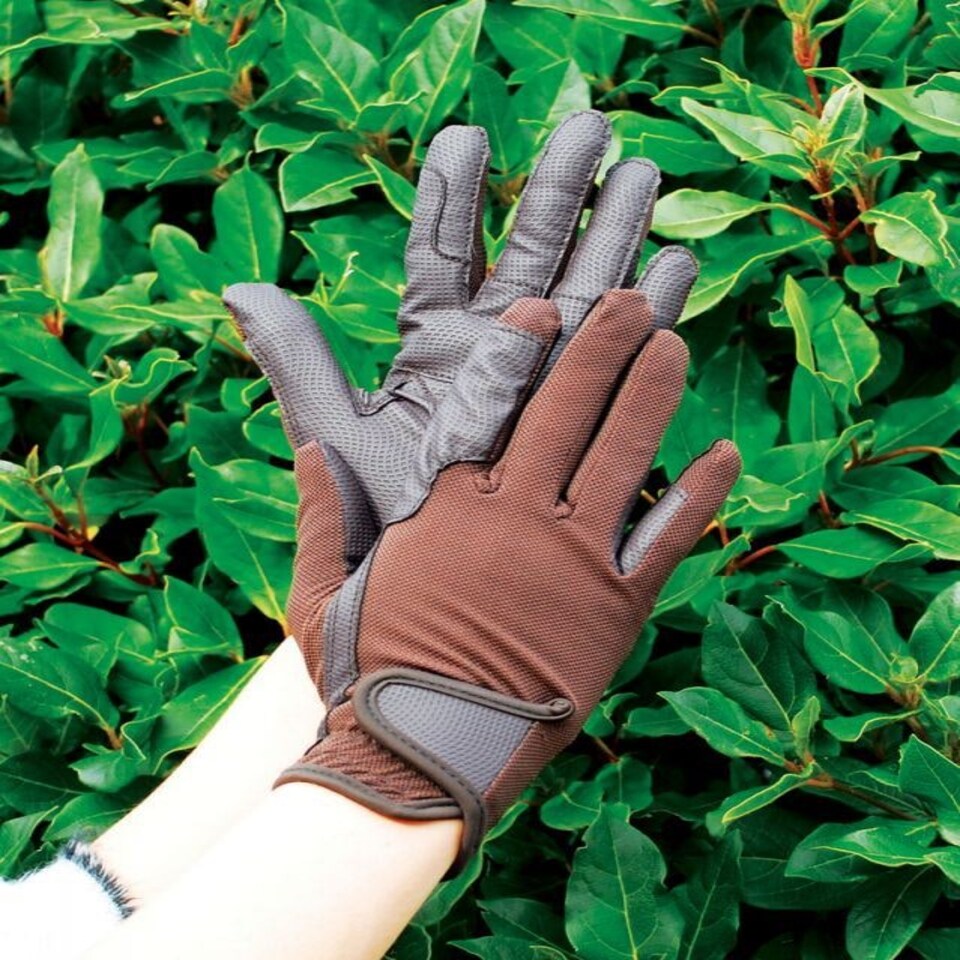 image 1 of Rhinegold Super Stretch Mesh Back Horse Riding Gloves Black | Size: Small
Colour: Black
