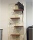 image 5 of Cat Door Climber Scratching Post Platforms Hanger Multi Level Scratcher Scratch
