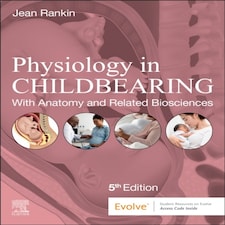 Physiology In Childbearing