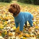 image 1 of Four Legged Dog Fleece - XS / Teal Blue | XS