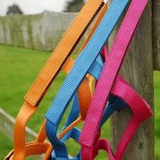 Rhinegold Field Safe Headcollar Orange | Colour: Tangerine Orange
Size: Shetland Pony