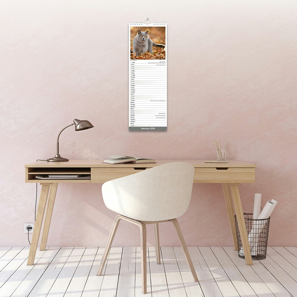image 1 of Cats Slim 2026 Calendar | Slimline Wall Calendar | Cat Gift | Plastic Free Packaging | by Avonside Publishing [Calendar] Avonside Publishing Ltd