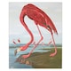 image 5 of Natural History Museum Paint By Numbers Flamingo Hanging Kit