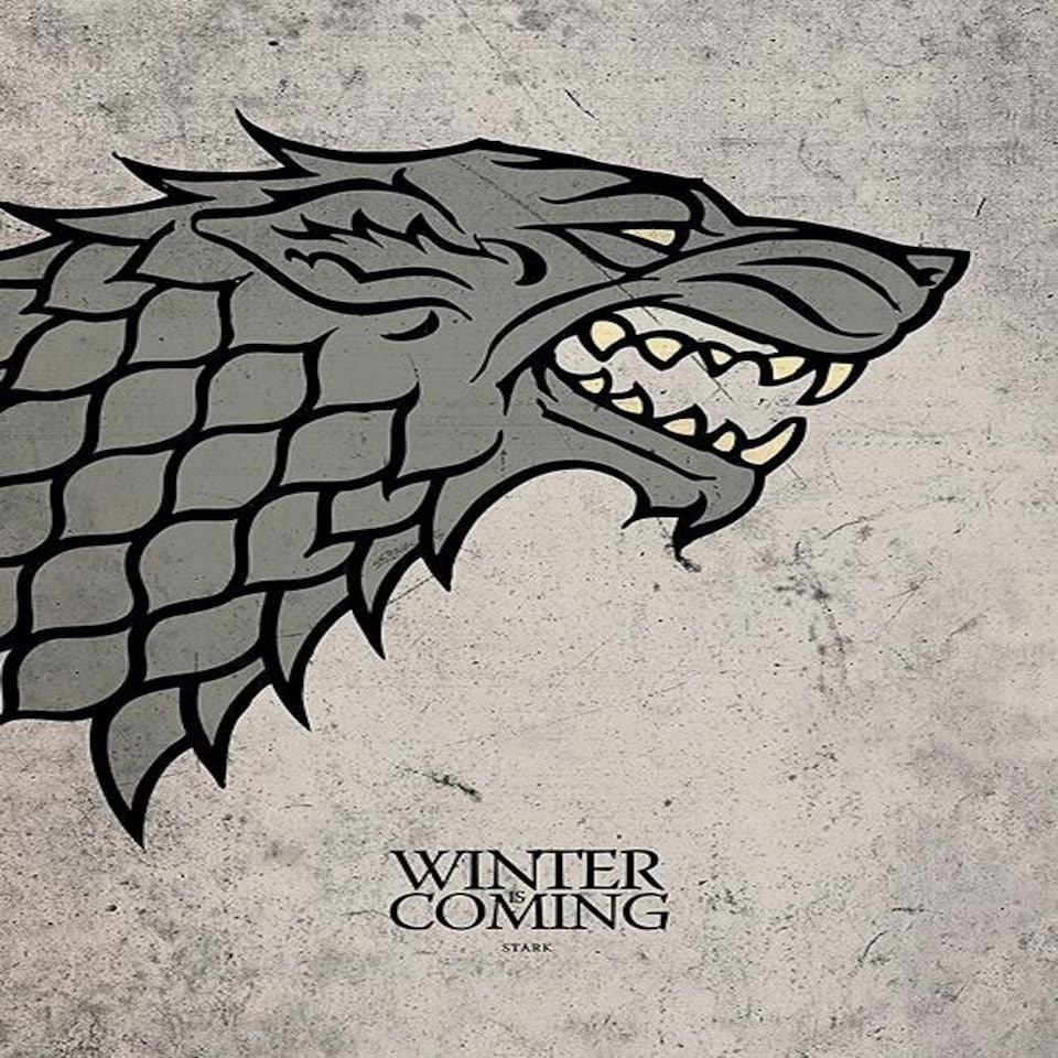 Game Of Thrones (Stark) 60x80x2cm Stretched Canvas Print
