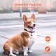 image 3 of AirTag Holder & Collar for Pets GPS Tag & App with Smart QR ID
