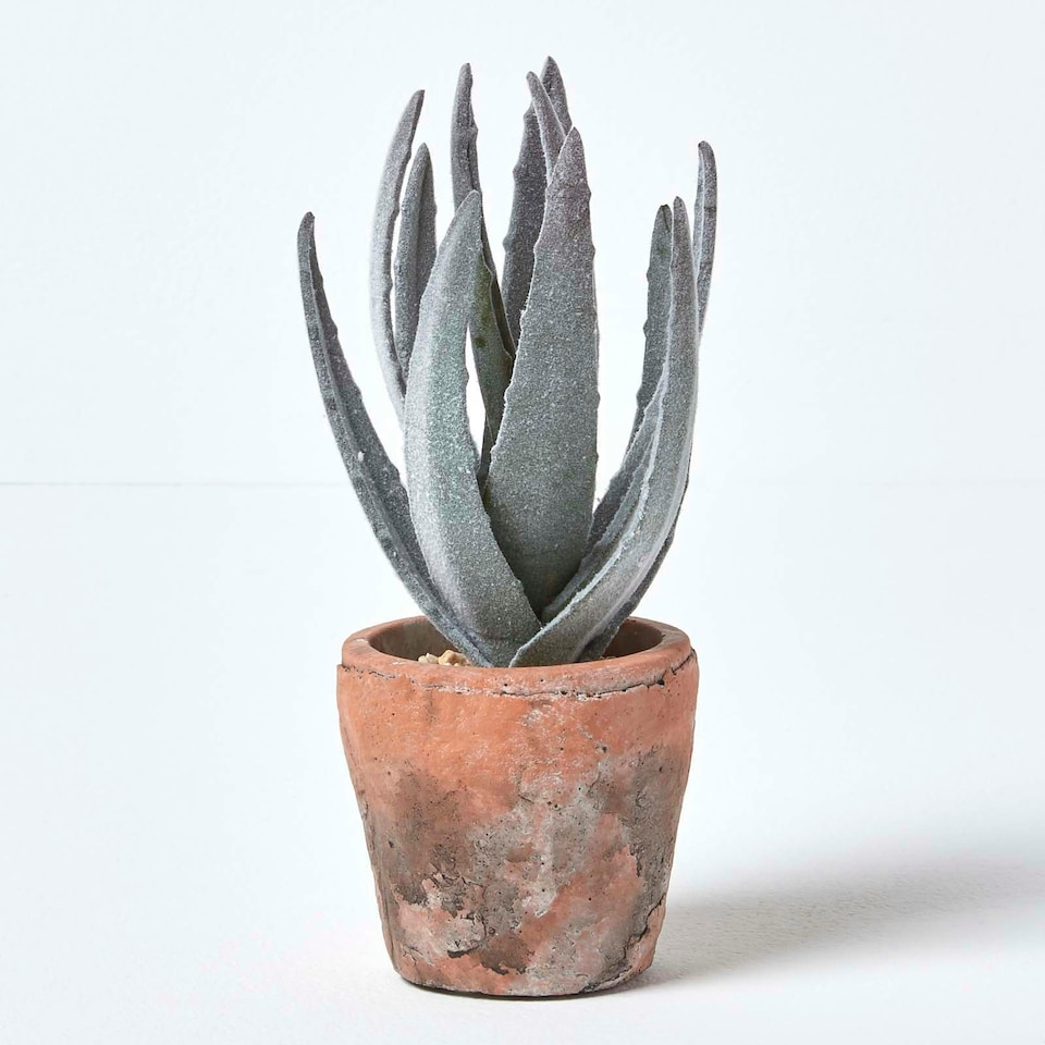 image 1 of Homescapes Aloe Vera Artificial Succulent in Decorative Rustic Terracotta Pot, 21 cm Tall