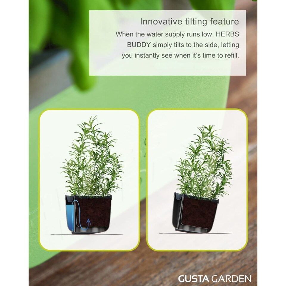 image 1 of GUSTA GARDEN Herbs Buddy - Self-Watering Pot & Herb Pot for Kitchen & Windowsill, Ideal for Basil, Water Tank, Water Level Indicator (3units - Light Grey)