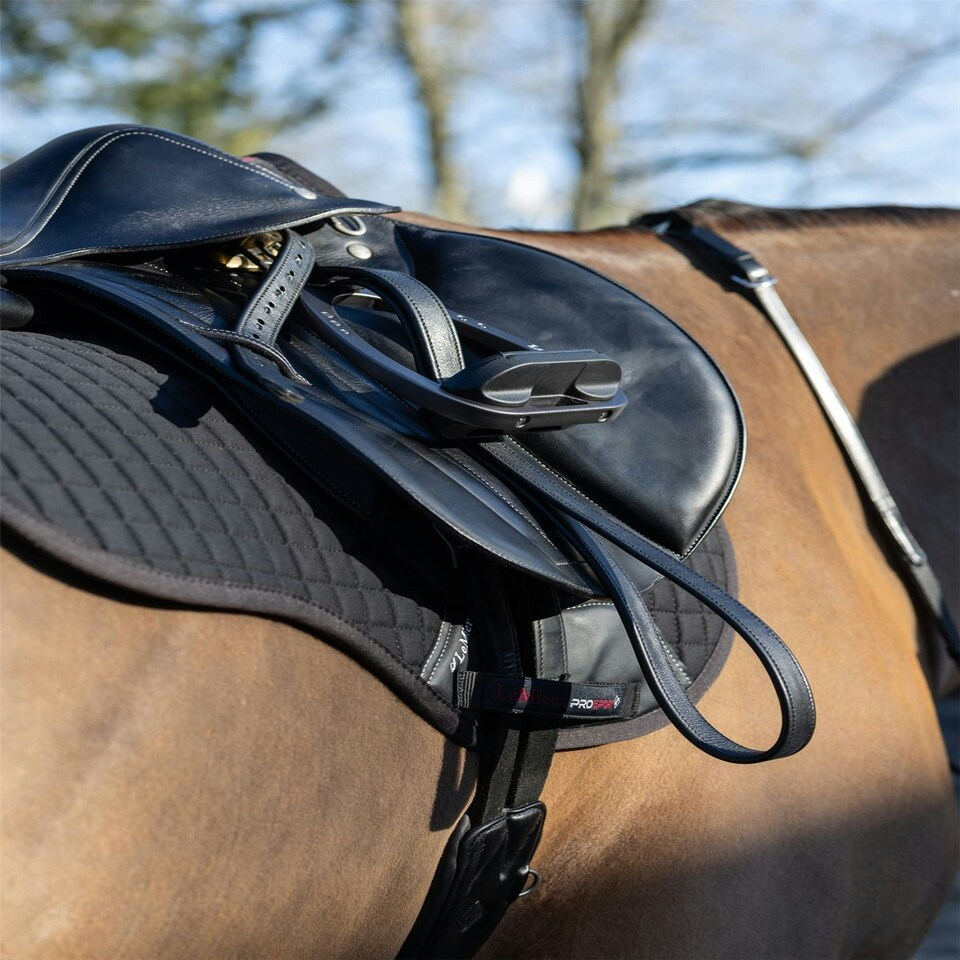 image 1 of LeMieux Cotton GP Square Black | Large