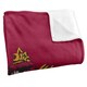 image 2 of Harry Potter Gryffindor Painted Blanket - Multicoloured - One Size