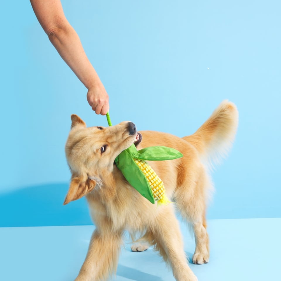 image 1 of BARK Corn On The Slob Dog Toy