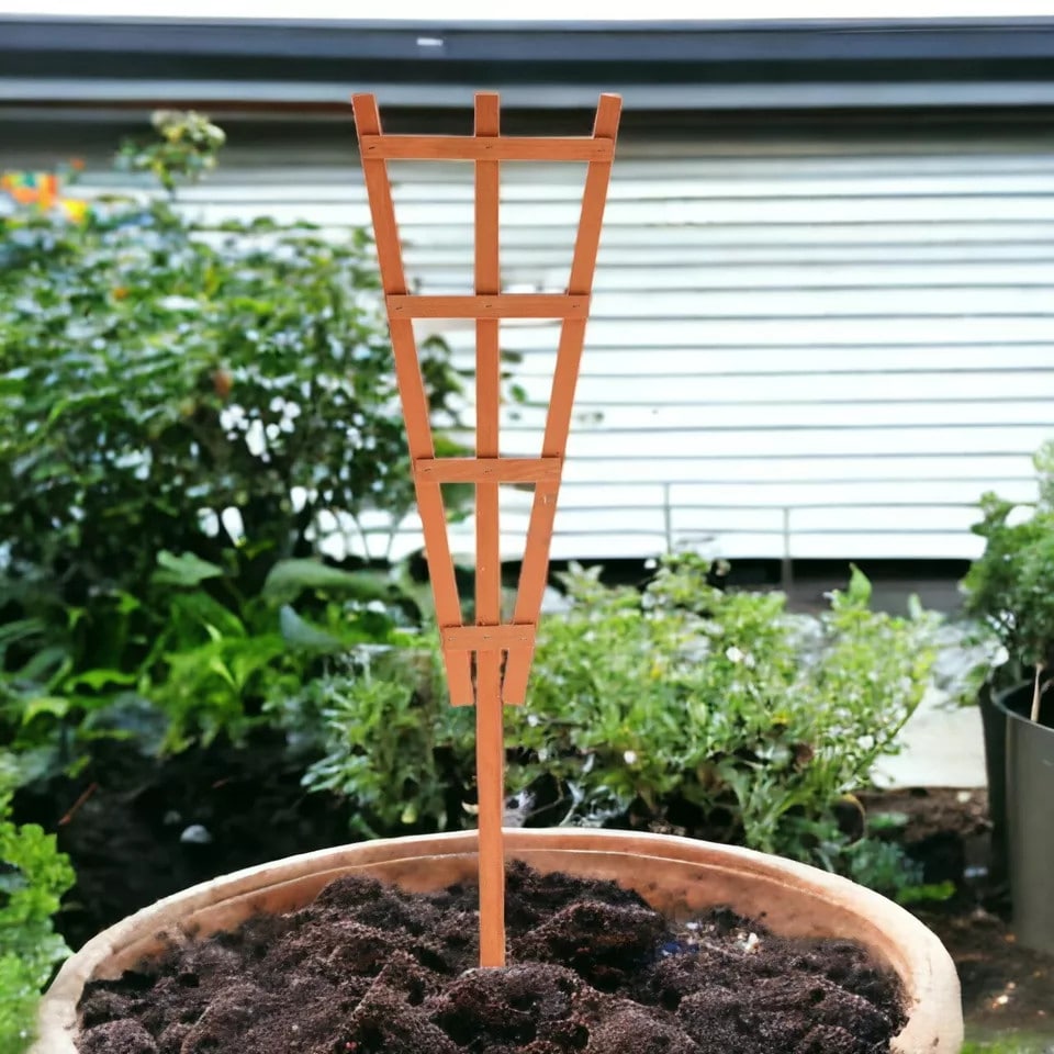 image 1 of Natural Wooden Potted Plant Trellis Support Frame - 70 x 22 x 0.5 cm | Brown | Brown | 4