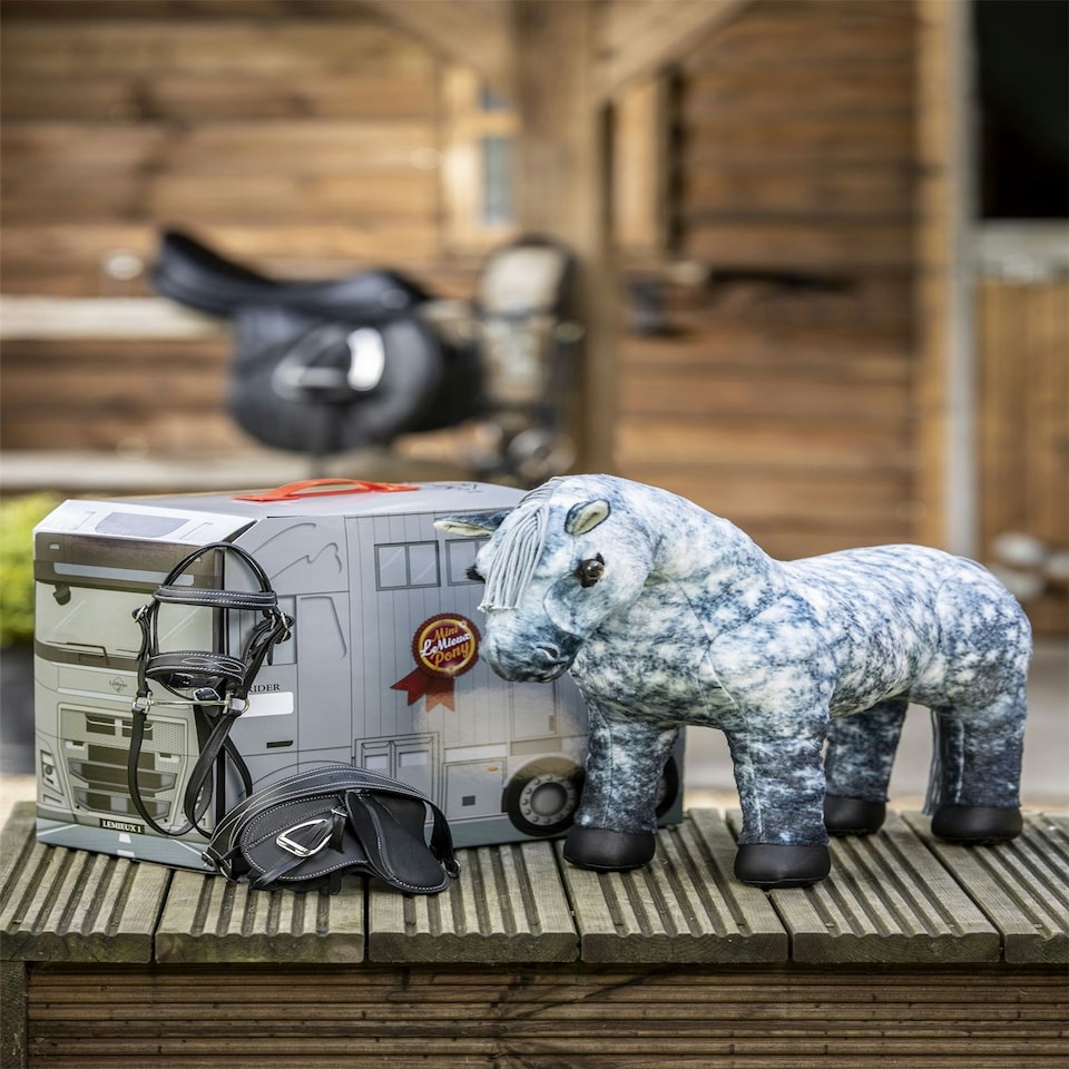 image 1 of LeMieux Toy Pony N/A | Colour: Sam
Size: One Size