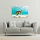 image 2 of photo of Sea turtle in the Galapagos island (Canvas Print)