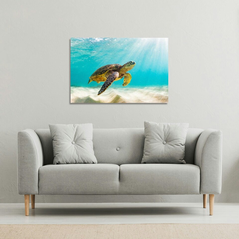 image 1 of photo of Sea turtle in the Galapagos island (Canvas Print)