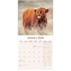 image 3 of Highland Cows 2026 Calendar | Square Wall Calendar | Farm Animal Gift | Plastic Free Packaging | by Avonside Publishing