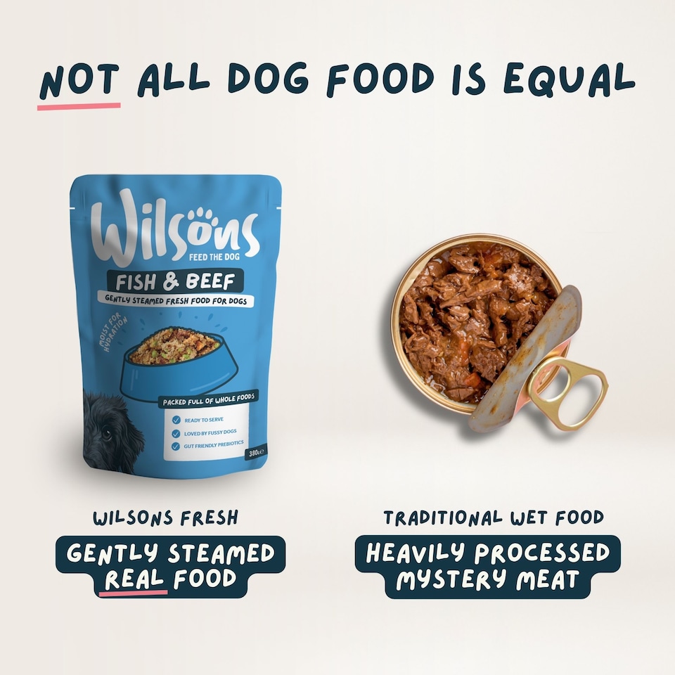 image 1 of Wilsons Fish and Beef Fresh Dog Food Premium Natural Protein Balanced Diet - 16x 380g Pouches