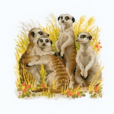 Riolis Meerkats Counted Cross Stitch Kit, 25cm x 25cm